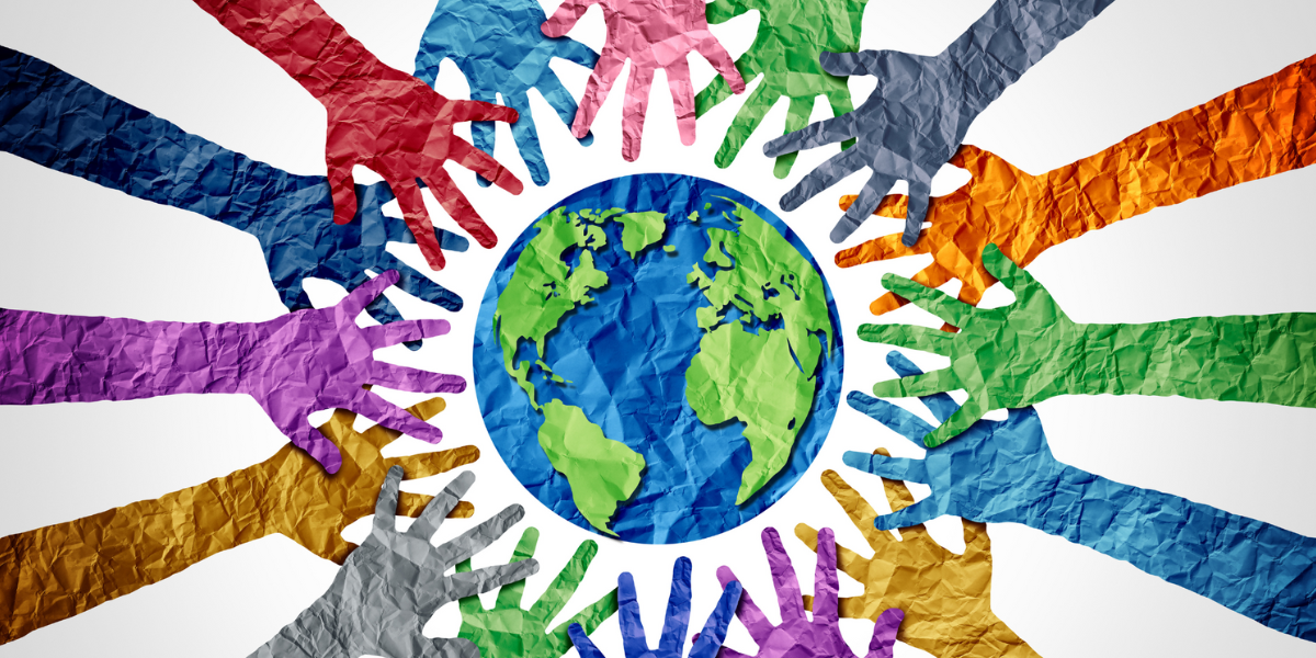 Case Study - investor's Diverstiy Framework